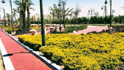 جهاز حدائق أكتوبر، جارٍ زراعة 1000 فدان مسطحات خضراء بأحياء ومحاور المدينة