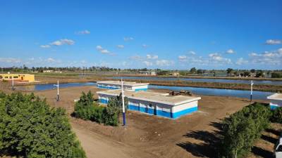 "حماية البحيرات" يعلن إنجازًا نوعيًا في تطوير المزارع السمكية