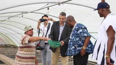 انطلاق أول برنامج دولي بـ"المركز التدريبي لمزرعة الزاوية السمكية" بفكر الشيخ