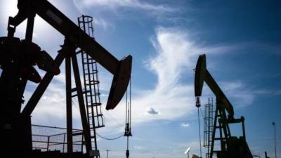 البترول: رفع إنتاج منطقتي إيريس وأركاديا ويست بالصحراء الغربية لـ12 ألف برميل