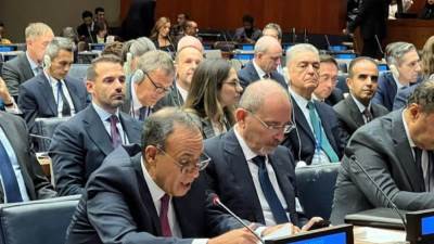 وزير الخارجية العمليات العسكرية في غزة تحدياً سافراً للقيم الإنسانية