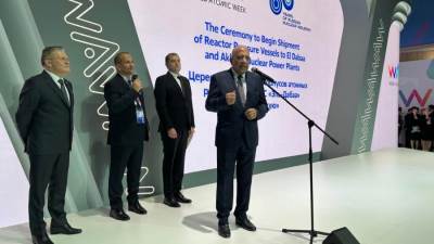 وزير الكهرباء: تصنيع وعاء المفاعل النووي استغرق 41 شهرًا