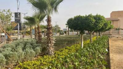 رئيس جهاز بدر: زراعة وتشجير المحاور لتحويل المدينة إلى أيقونة حضارية خضراء