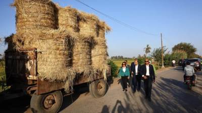 "منال عوض" توجه بسرعة جمع قش الأرز والقضاء على ظاهرة حرقه