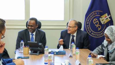 الغمراوي: التعاون مع السودان يفتح آفاقًا جديدة للأمن الدوائي الإفريقي