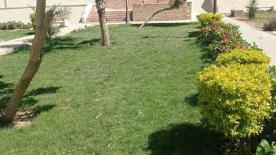 جهاز القاهرة الجديدة يواصل خطة التجميل والتشجير بالتجمعين الثالث والخامس 