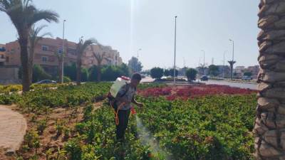 رئيس جهاز الشيخ زايد: خطة متكاملة لصيانة المزروعات وتكثيف أعمال النظافة 