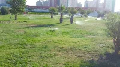 رئيس جهاز السويس الجديدة: زراعة 3500 شجرة بالحي الصناعي الأول بالمدينة