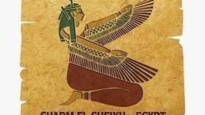 مصر تطرح رؤية جديدة خلال مؤتمر "الإنكوساي 25" بشرم الشيخ.. تفاصيل