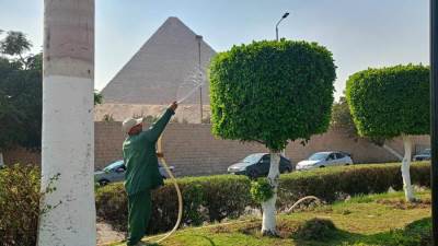 محافظ الجيزة: رفع كفاءة المسطحات الخضراء والطرق المحيطة بالمتحف المصري الكبير