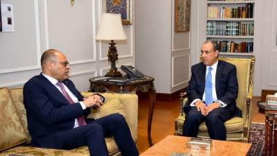 الخارجية تبحث إنشاء قاعدة بيانات وطنية موحدة للعمالة المصرية بالخارج