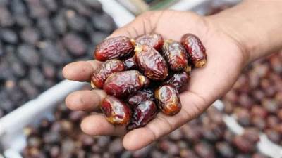 كامل الوزير: مصر في المرتبة الأولى عالمياً في إنتاج التمور