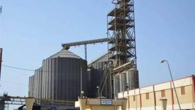 مطاحن "وسط وغرب الدلتا" تستهدف رفع الطاقة الإنتاجية إلى 500 طن يوميًا