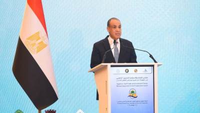 وزير الخارجية: العلاقات المصرية الخليجية تشهد طفرة نوعية في مختلف مجالات التعاون