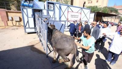 بسعة 100 رأس يوميا .. افتتاح أول مجزر متنقل بصناعة محلية