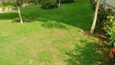 رئيس جهاز مدينة العبور: تنفيذ خطة لرفع كفاءة المسطحات الخضراء بمختلف الأحياء