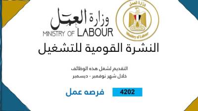 "العمل" تعلن عن 4202 فرصة عمل جديدة في 53 شركة تفاصيل