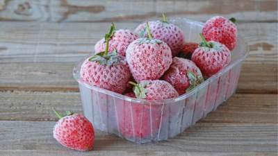 صادرات الفراولة المجمدة تحقق 648 مليون دولار خلال 10 أشهر