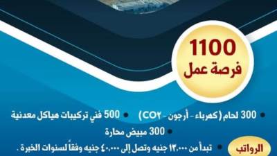 1100 فرصة عمل جديدة في مشروع الضبعة.. تفاصيل
