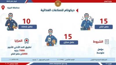 برواتب مجزية.. "العمل" تعلن عن وظائف شاغرة في هذه المحافظة