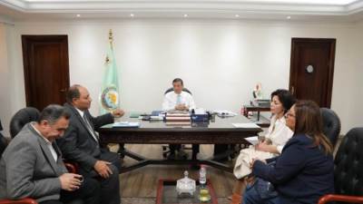 تفاصيل خطة الزراعة والمجتمع المدني لمكافحة انتشار كلاب الشوارع 