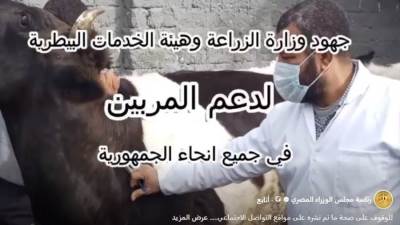 "الزراعة" تطلق قافلة علاجية وإرشادية بقرية تلبنت أبشيش بالمنوفية