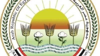  البحوث الزراعية يحقق قفزة جديدة في تصنيف «سيماجو» لعام 2025