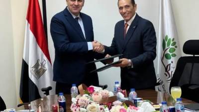 "الريف المصري" تطلق مشروعًا ضخمًا لتوصيل الكهرباء بـ25 مليار جنيه