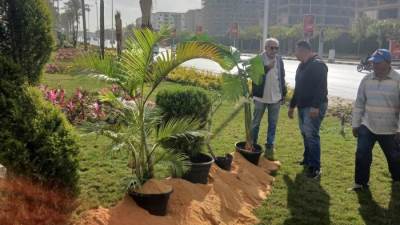 رشاد: استمرار أعمال الزراعة والتجميل بالقاهرة الجديدة