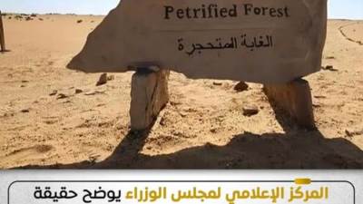 "الحكومة" توضح حقيقة التعدي على "الأشجار المتحجرة" بمنطقة التجمع