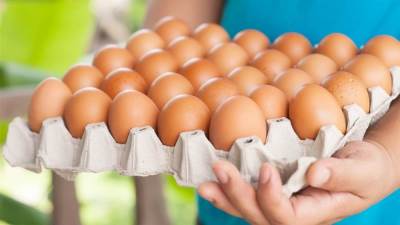 أسعار البيض اليوم الأربعاء في بورصة الدواجن