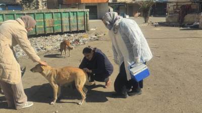 الزراعة: حملة استثنائية ضد "الحمى القلاعية" ومواصلة تحصين كلاب الشوارع