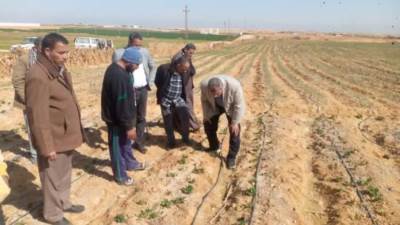 محافظ أسيوط: الحفاظ على الرقعة الزراعية ضرورة لتعزيز الأمن الغذائي بالمحافظة