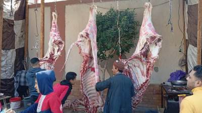 محافظ أسيوط: استمرار بيع كيلو اللحوم البلدية بـ290 جنيهًا بمنافذ منفلوط