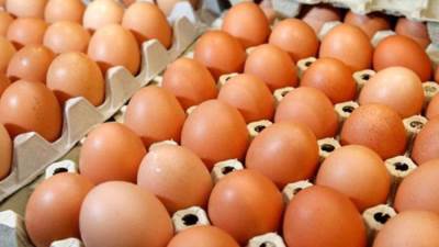 أسعار البيض اليوم الأربعاء في بورصة الدواجن