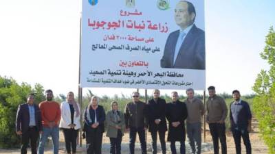 "هيئة تنمية الصعيد" تتابع محصول الجوجوبا لتعزيز الاقتصاد المحلي