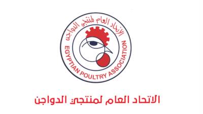 منتجي الدواجن: تحقيق الاكتفاء الذاتي وفائض إنتاجي جاهز للتصدير