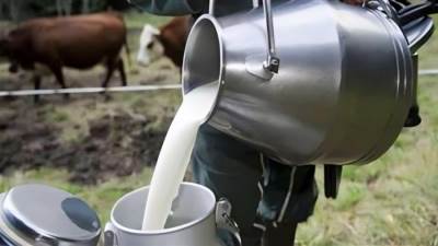 2025 عام الإنجازات للثروة الحيوانية.. إنتاج 7 ملايين طن ألبان طازجة