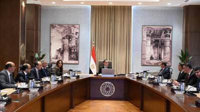 مدبولي: خطة شاملة تشمل إنشاء سيارات نقل آمنة للكلاب الضالة والمتروكة