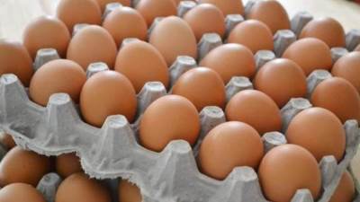 انخفاض في سعر كرتونة البيض اليوم الأربعاء