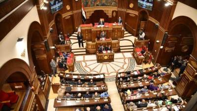 نائب بالشيوخ: فرض الجمارك على هواتف السياح يضر بالاقتصاد المصري