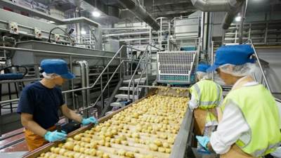 صادرات الصناعات الغذائية تتجاوز 6.8 مليار دولار خلال 2025