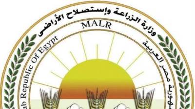 الزراعة تُوضح حقيقة رصد جراد صحراوي بـ "بئر العبد" في سيناء