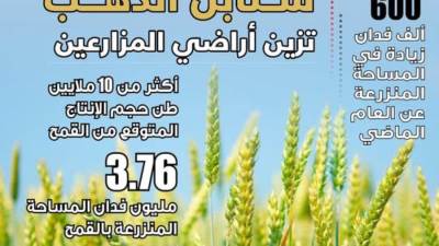 نجاح جديد.. "مصر" تتجاوز المستهدف في زراعة القمح بـ 3.76 مليون فدان