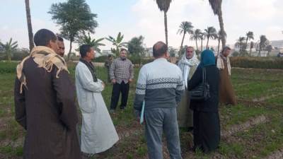 715 ألف مستفيد من 27.8 ألف نشاط إرشادي زراعي في 2025