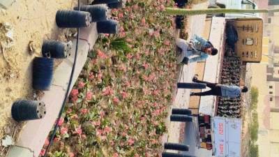 جهاز حدائق أكتوبر يواصل أعمال الصيانة الدورية لزراعة المسطحات الخضراء