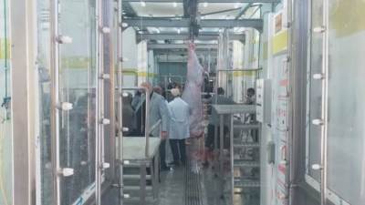 بدء التشغيل التجريبي لـ"مجزر بلطيم" بكفر الشيخ بتكلفة 36.7 مليون جنيه