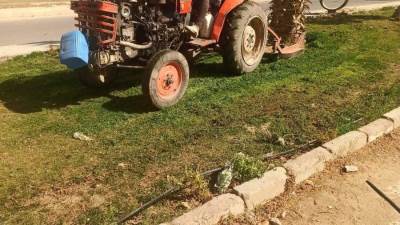 جهاز مدينة حدائق أكتوبر يواصل أعمال رفع المخلفات وصيانة وزراعة الجزر