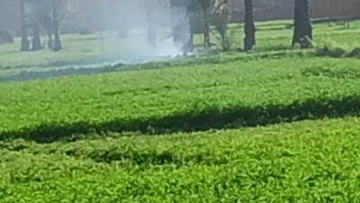 د.منال عوض توجه باتخاذ الإجراءات القانونية حيال حرق المخلفات الزراعية بالشرقية