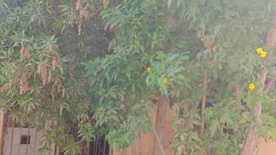 جهاز حدائق أكتوبر يحذر من الزراعات المخالفة.. لهذا السبب 